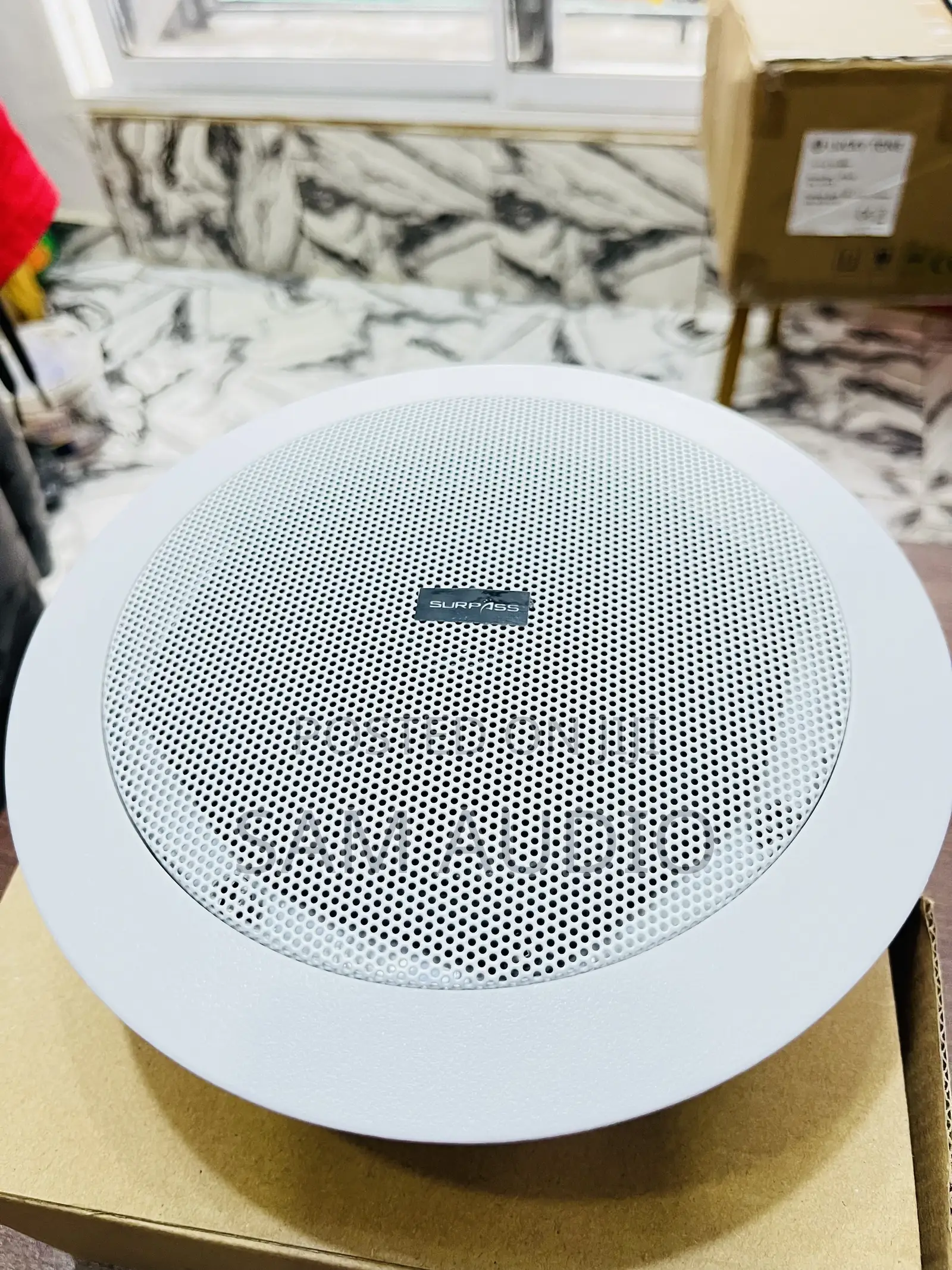 Surpass Ceiling Speaker 30watts