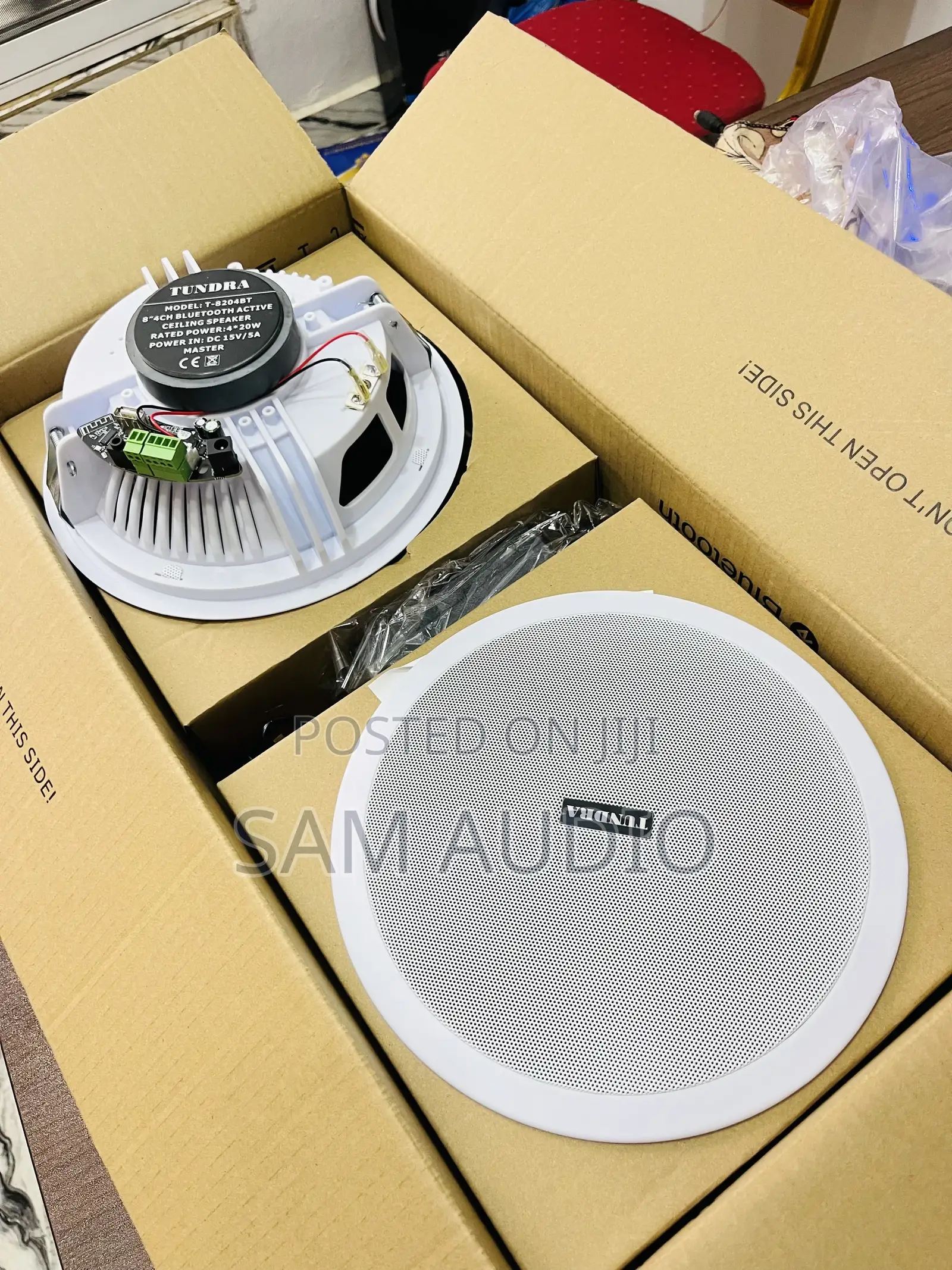 Tundra 2 In1ceiling Speaker