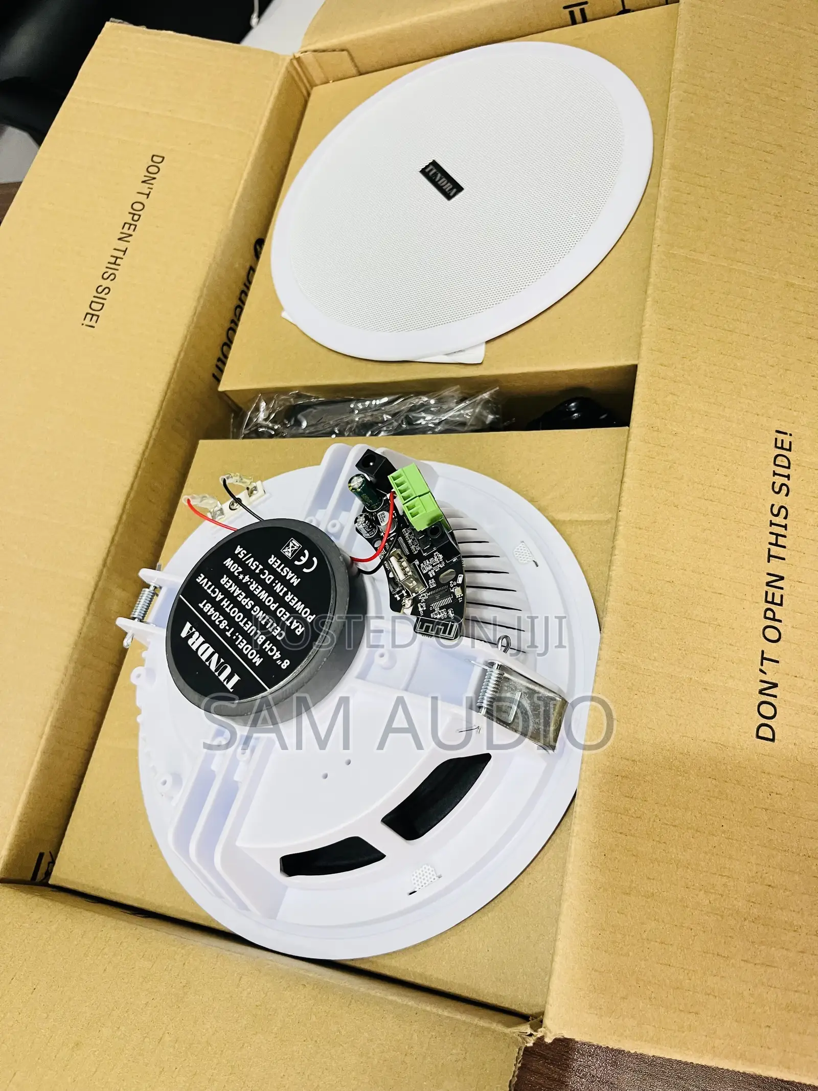 Tundra 2 In1ceiling Speaker