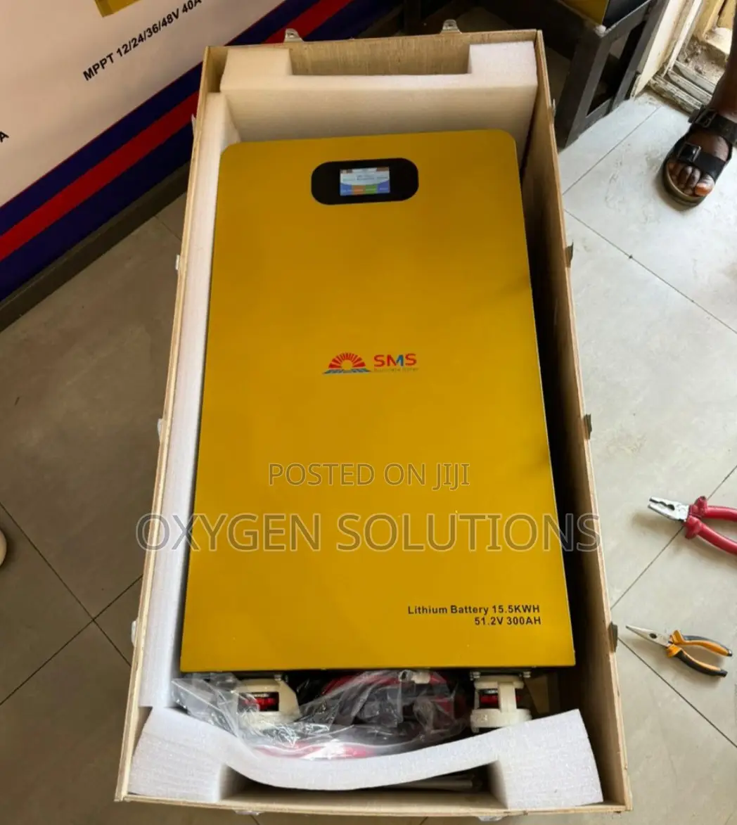 15kwh 51.2v SMS Lithium Ion Battery