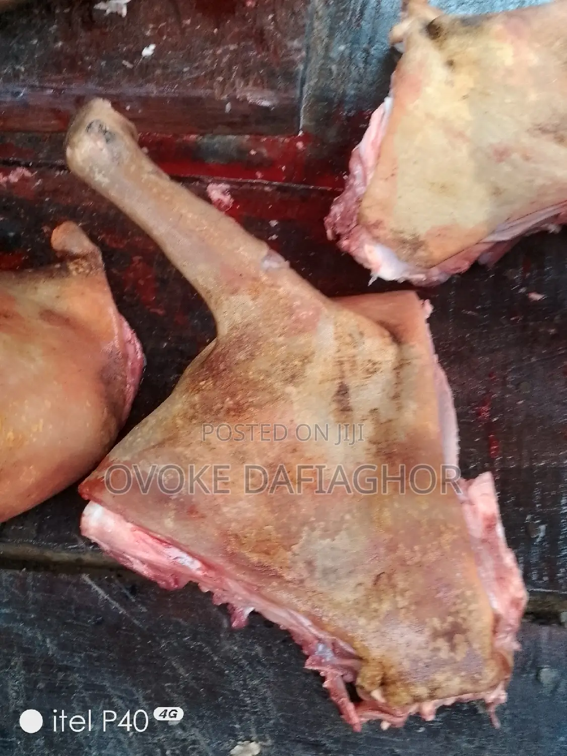 Goat Leg or Any Parts