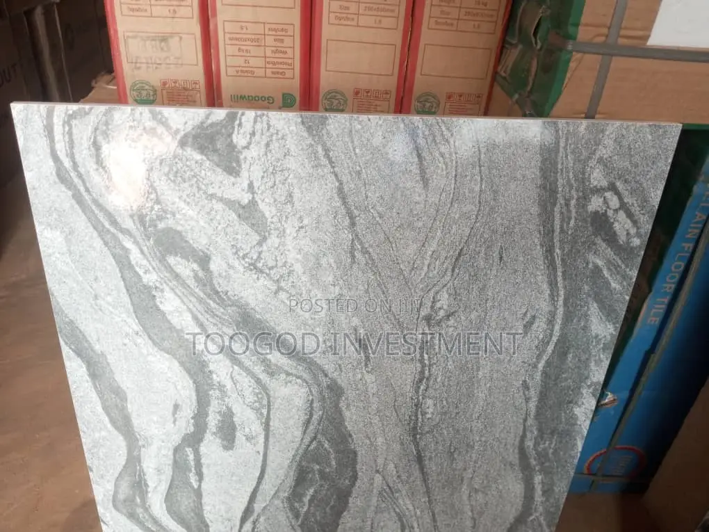 60*60 Ash Color Floor Tiles