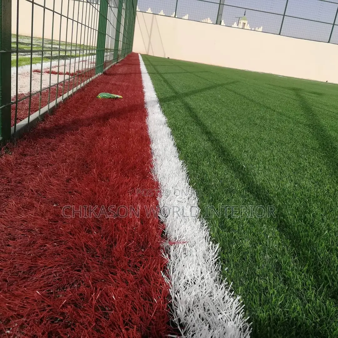 Standard Football  Grass