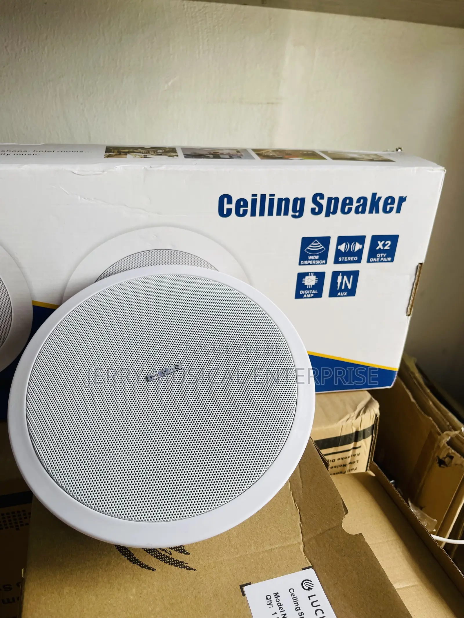30watts Ceiling Speakers