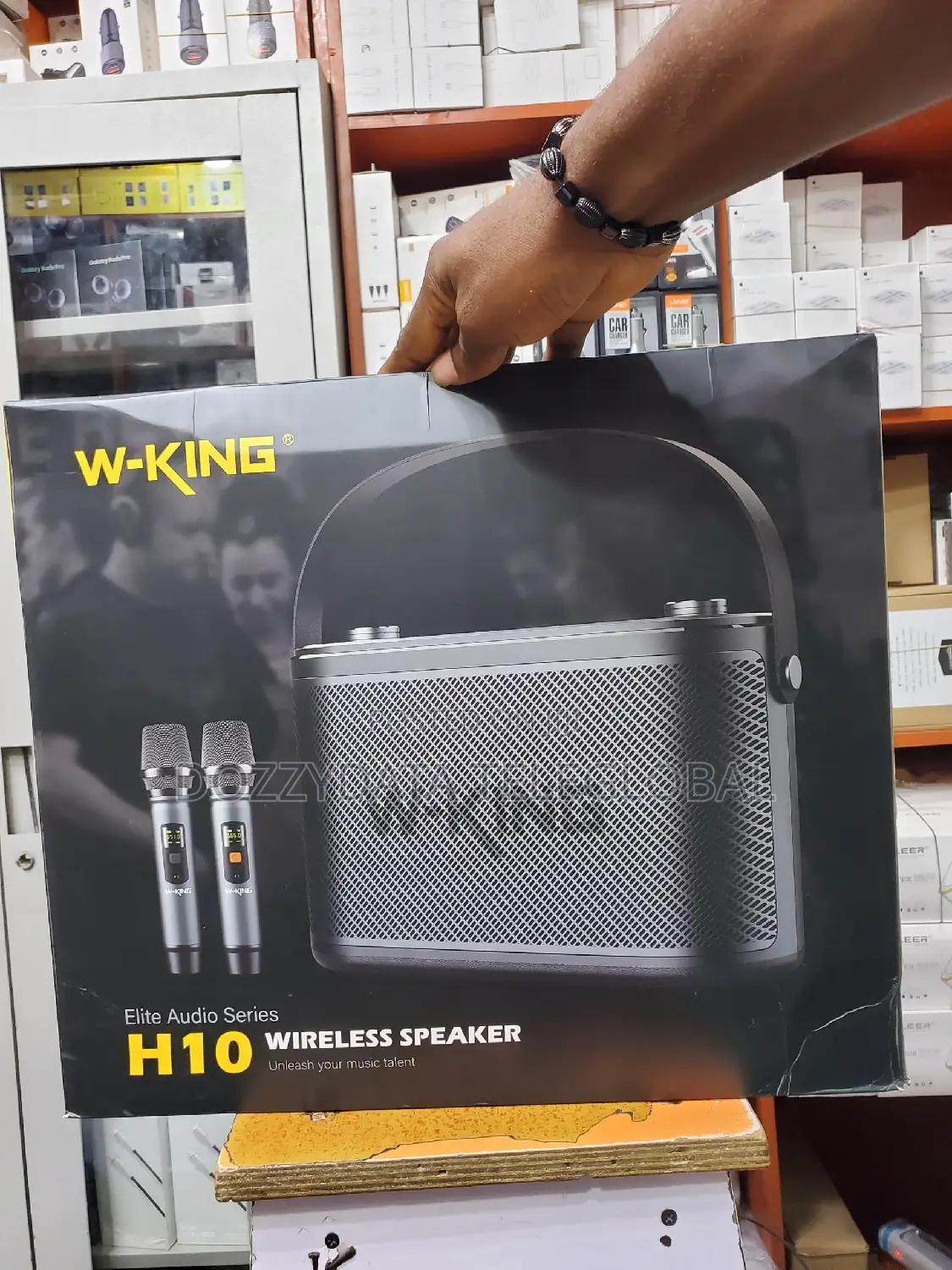 Wking H10 120W High Power Portable Bluetooth Speaker Karaoke