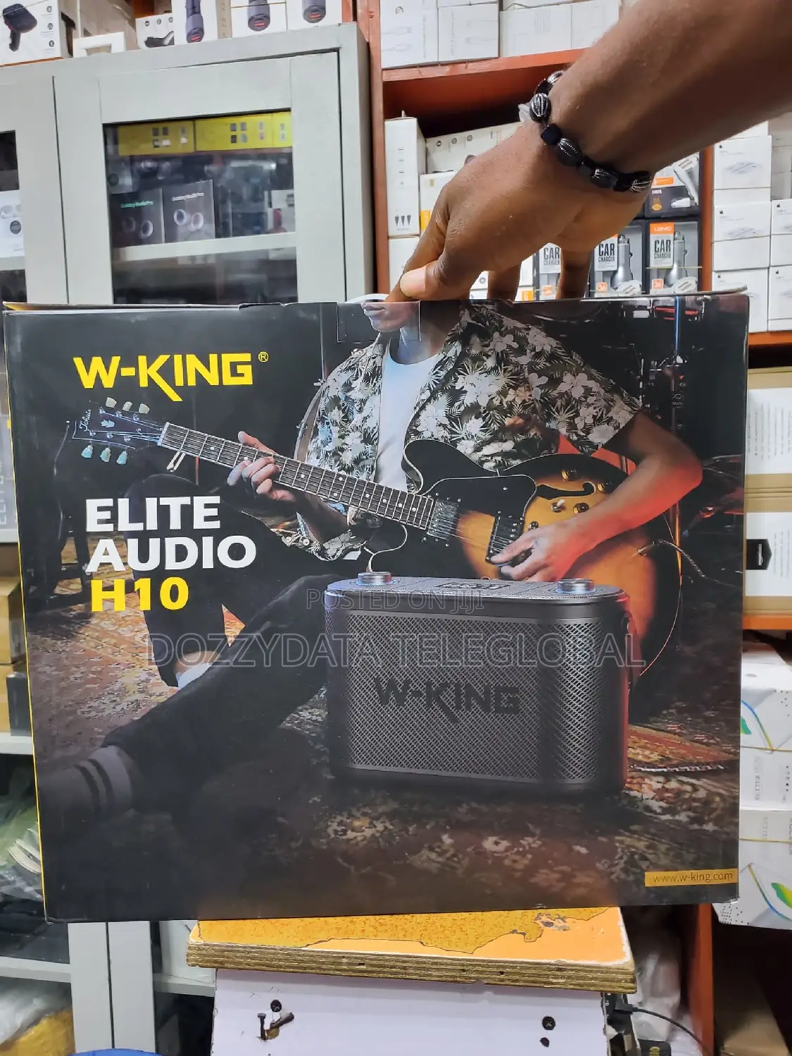 Wking H10 120W High Power Portable Bluetooth Speaker Karaoke