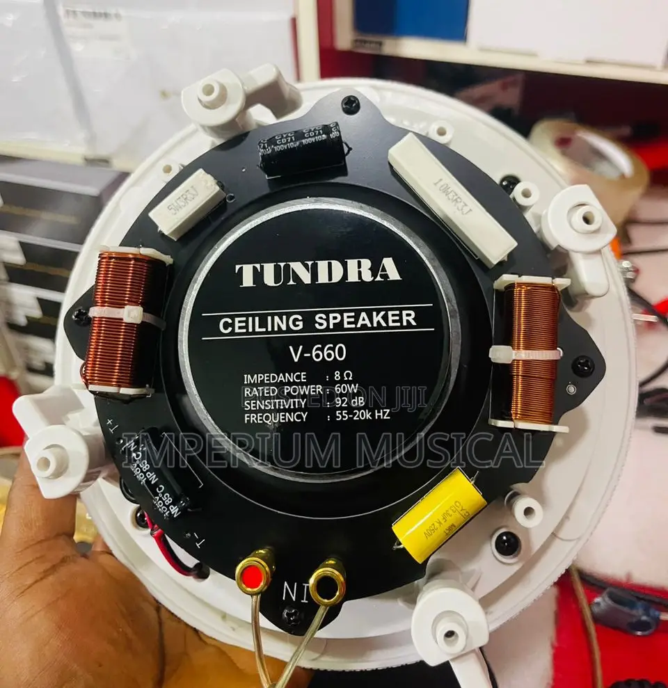 60watts Tundra Frameless Woofer Ceiling Speakers