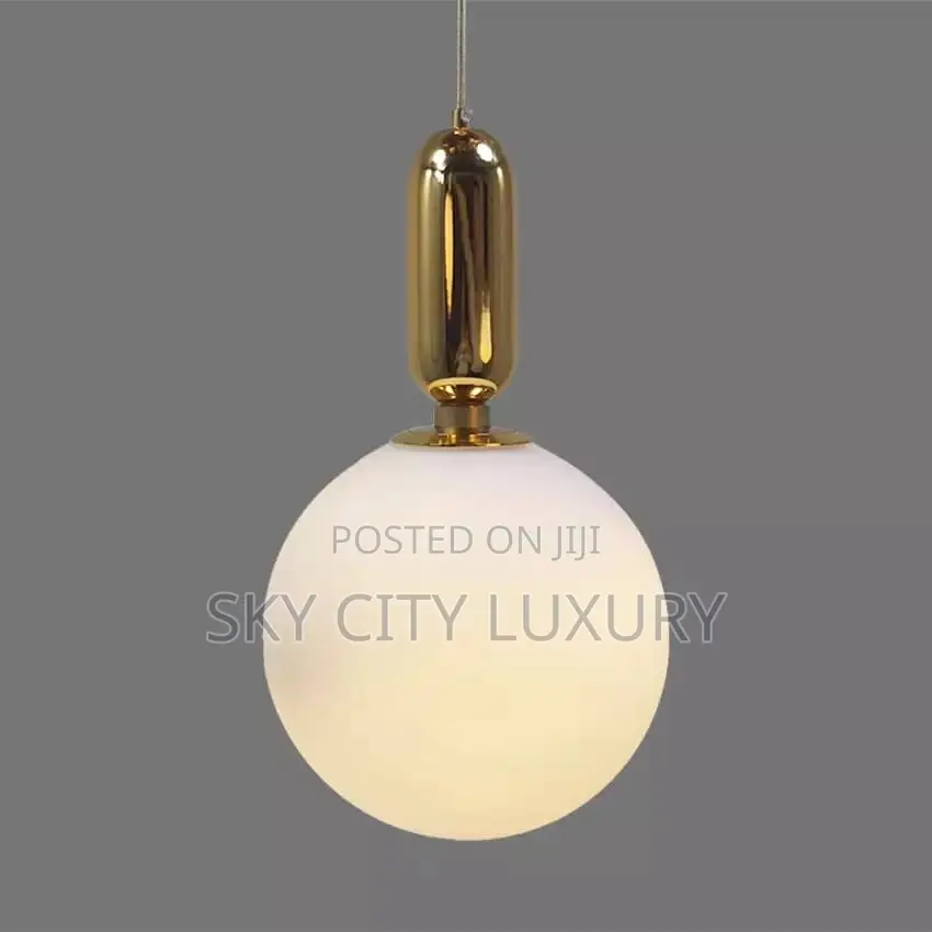 Led and Bulb Single Pendant Light