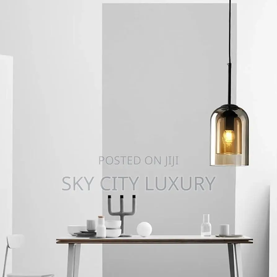 Led and Bulb Single Pendant Light