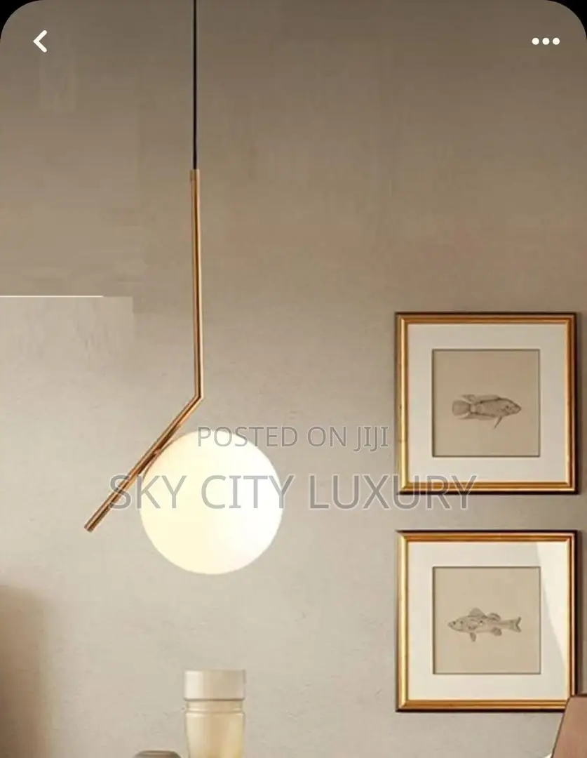 Led and Bulb Single Pendant Light