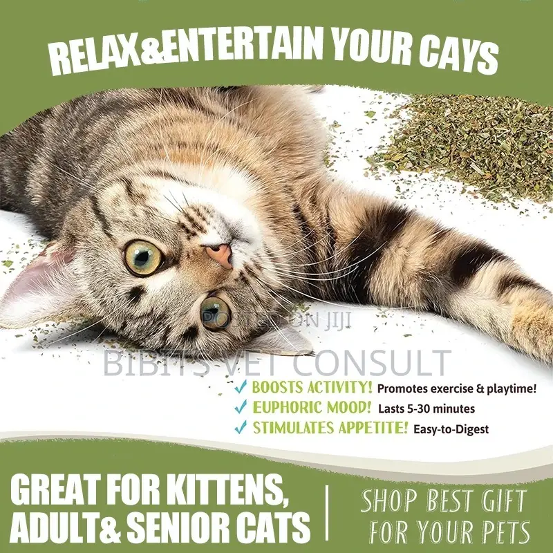 Catnip Leaf 45ml