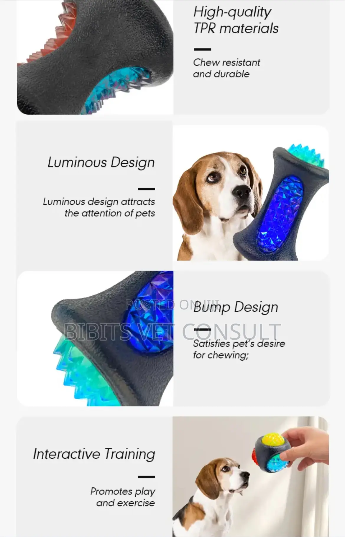 Luminous Rubber Flashing Bite Resistant Dog Toy