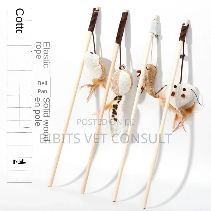 Teasing Cat Stick Toy With Elastic