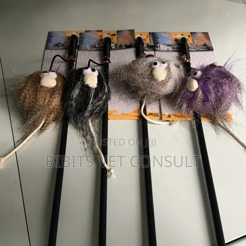 Teasing Cat Stick Toy With Elastic