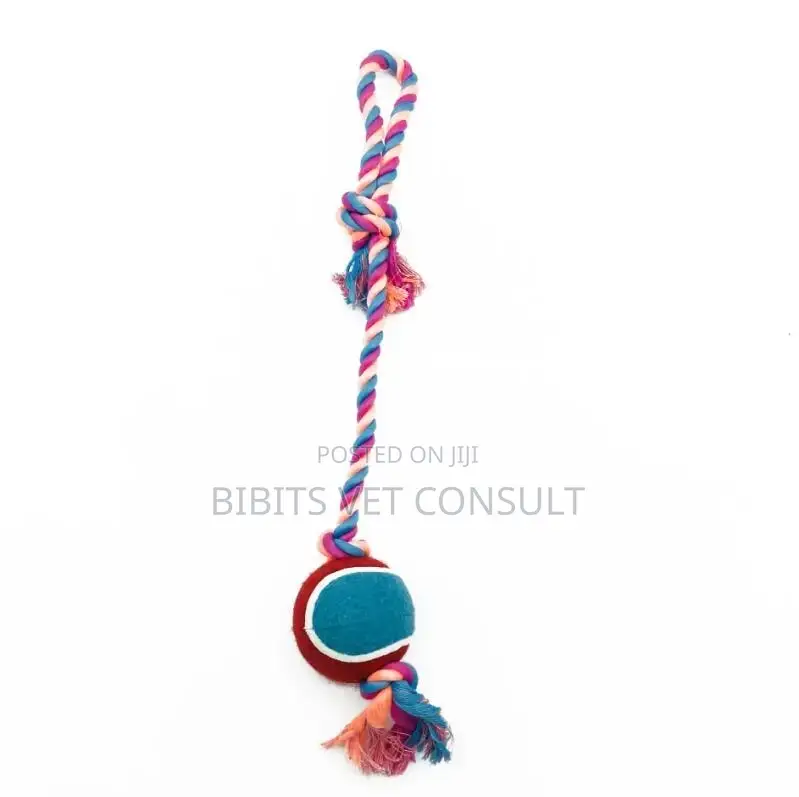 Tennis Ball Toy With Long Rope for Dog