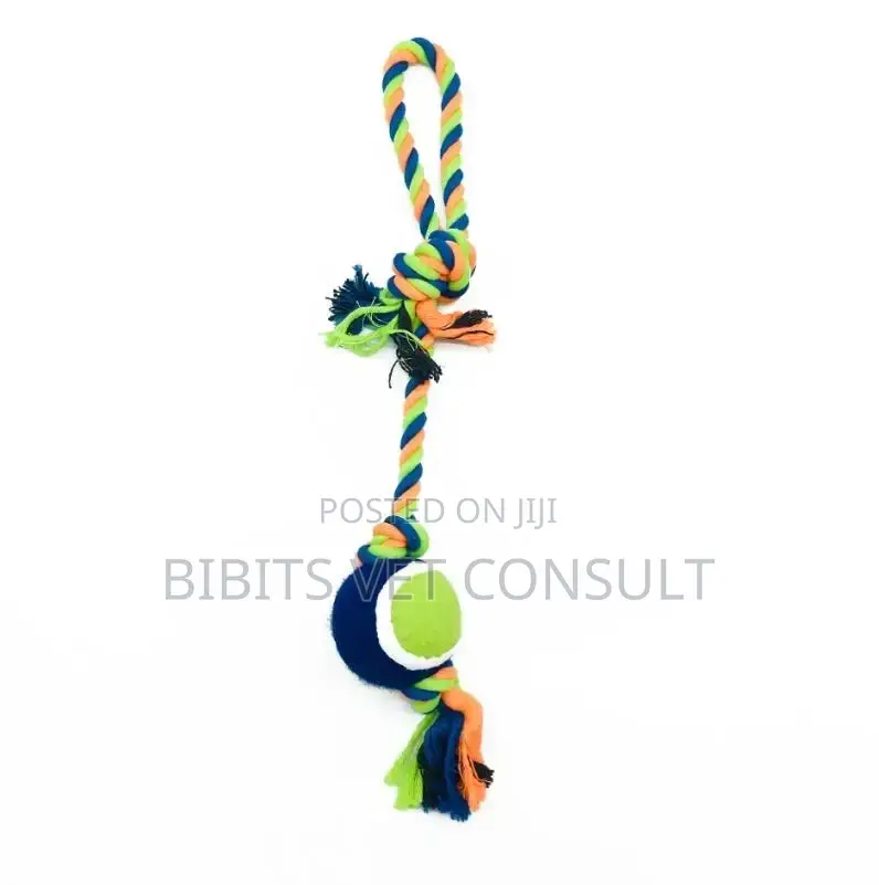 Tennis Ball Toy With Long Rope for Dog