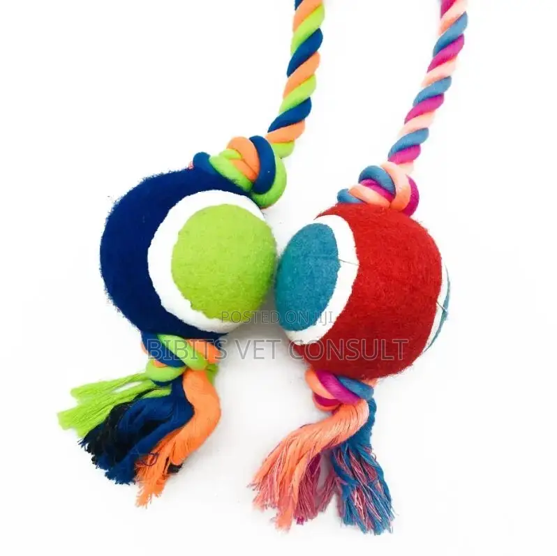 Tennis Ball Toy With Long Rope for Dog