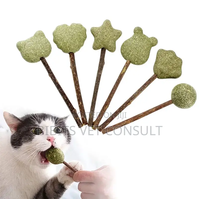Lollipop Shape Catnip Toys