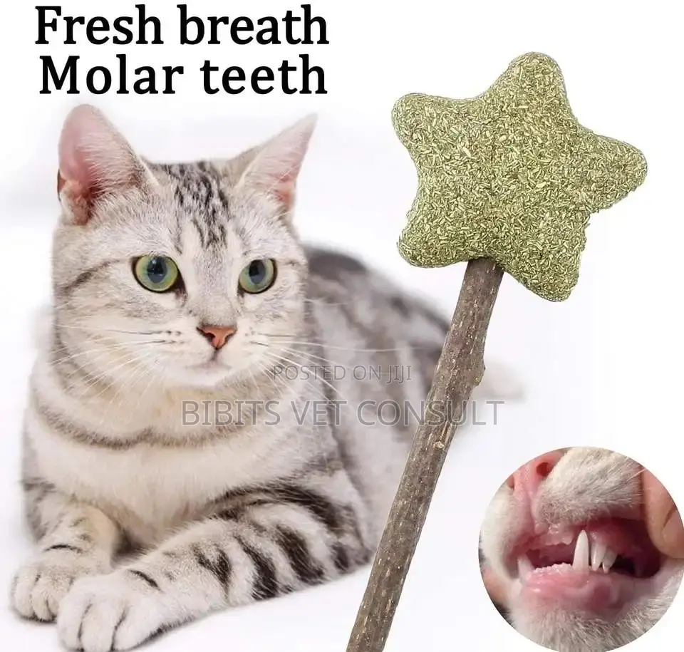 Lollipop Shape Catnip Toys