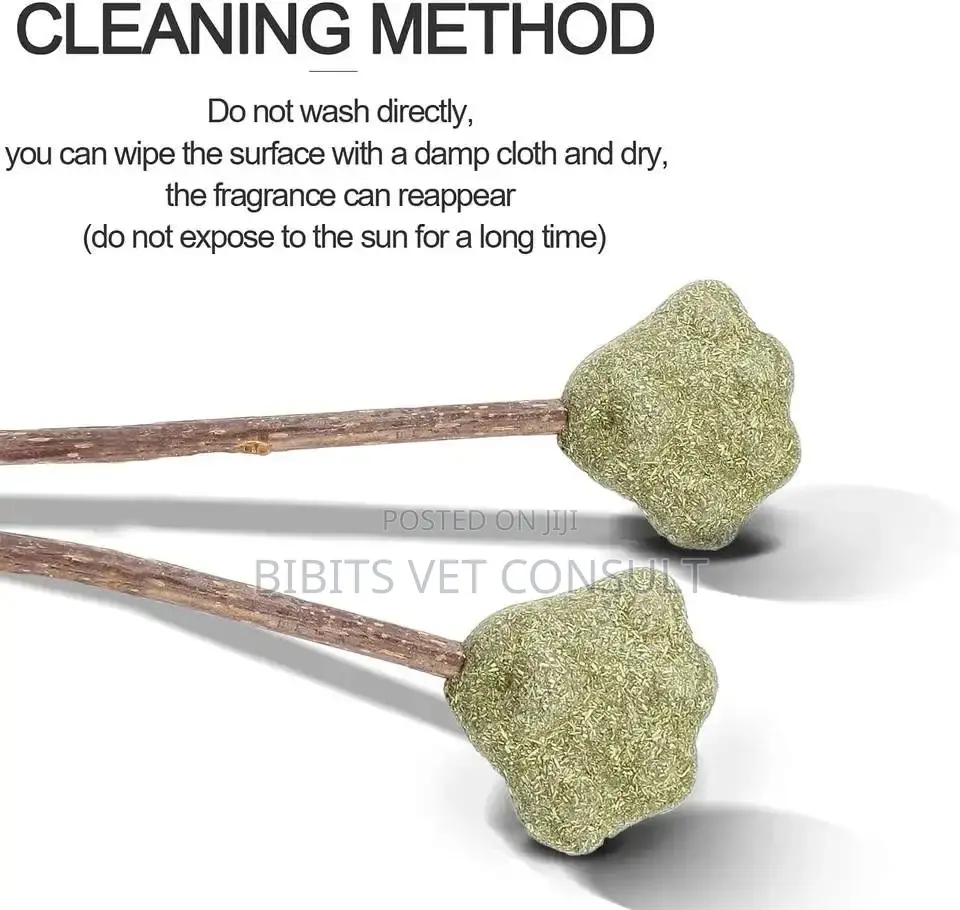 Lollipop Shape Catnip Toys