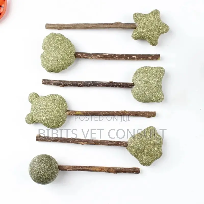 Lollipop Shape Catnip Toys