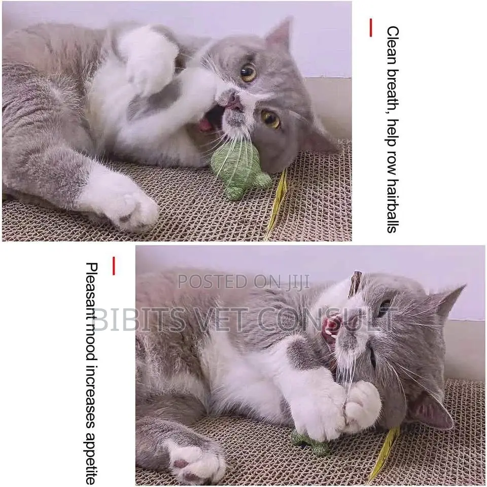 Lollipop Shape Catnip Toys