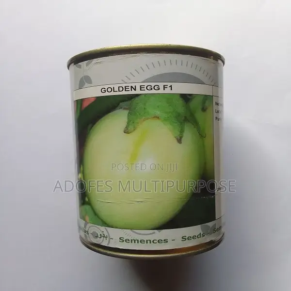 F1 Garden Egg Golden Seed 50G