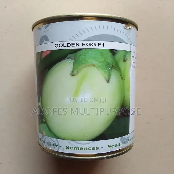 F1 Garden Egg Golden Seed 50G