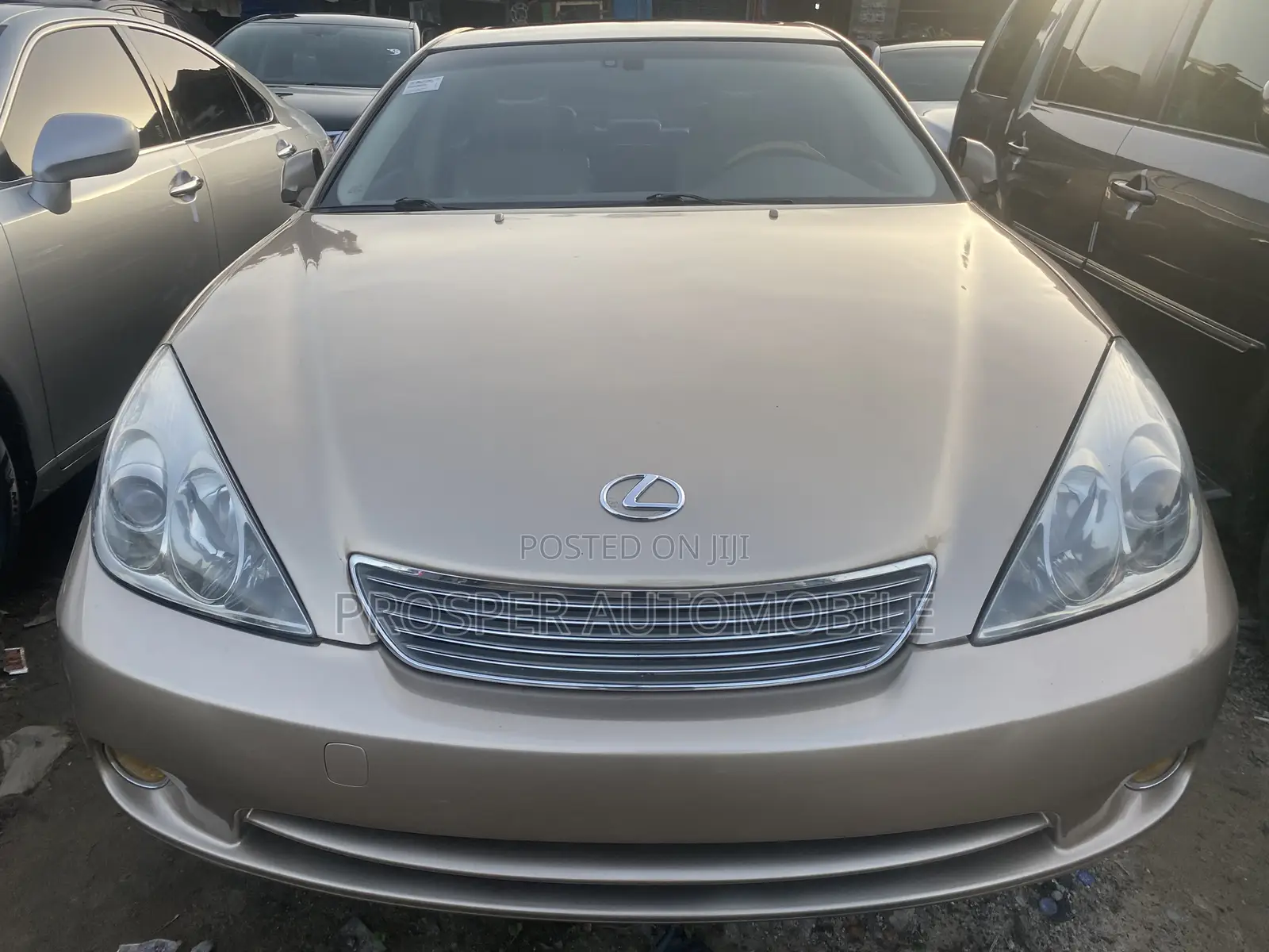 Lexus ES 330 2006 Gold