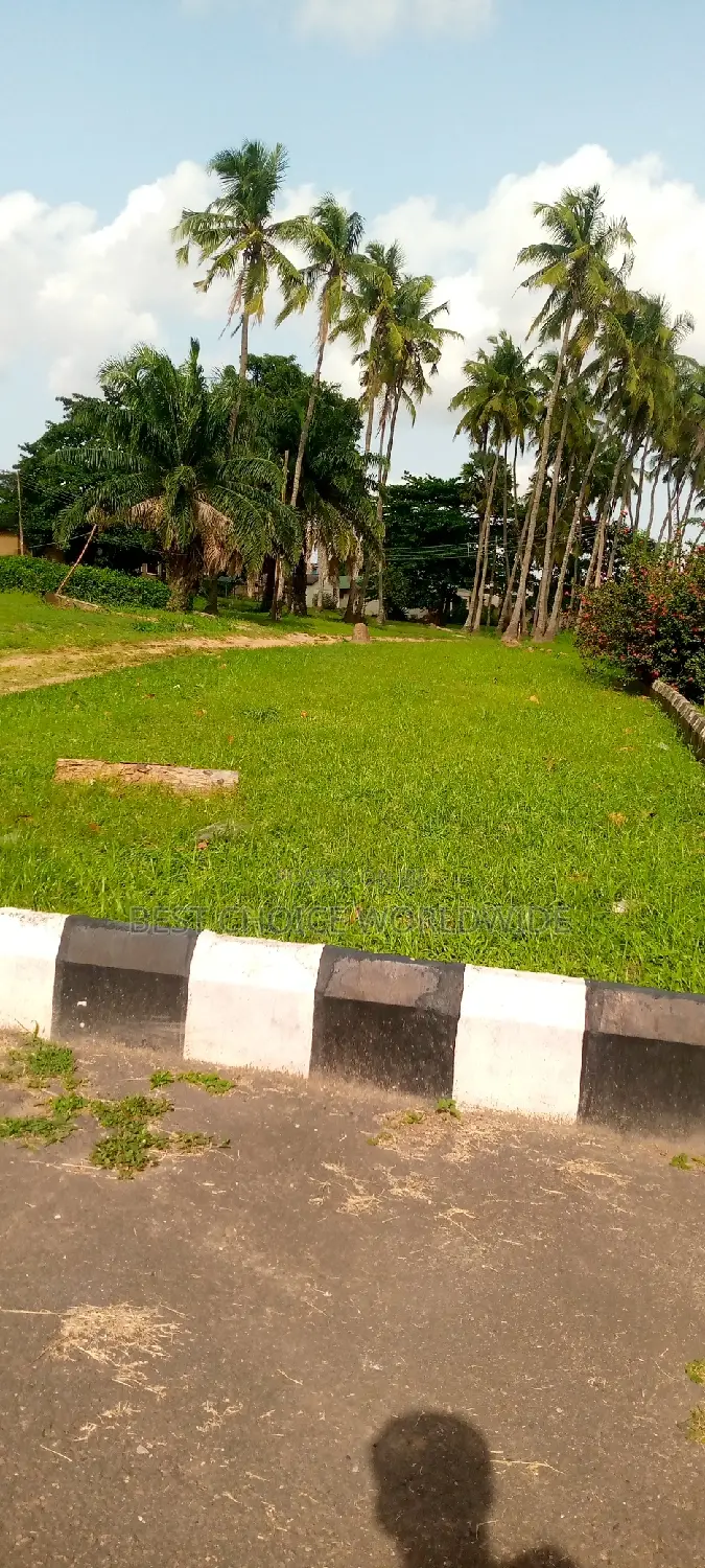 Office Space With Large Green Compound