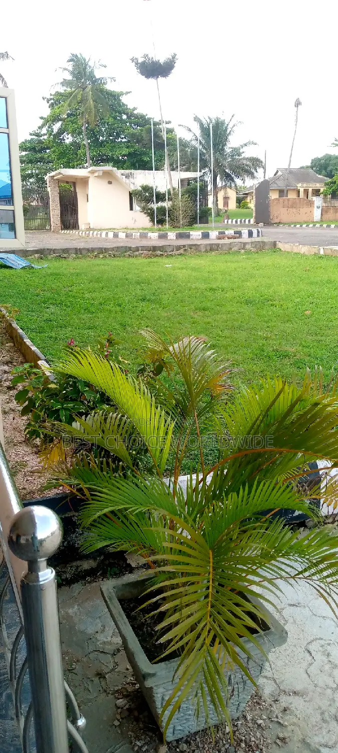 Office Space With Large Green Compound
