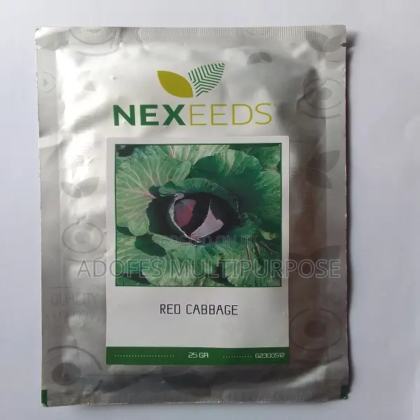 Cabbage Seeds Red 25g