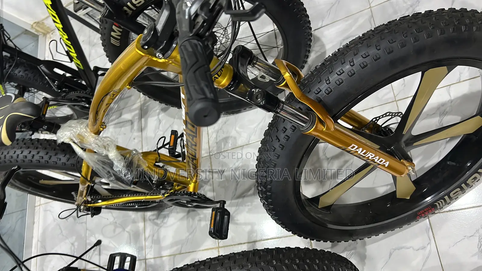 Fat Giant Tyre Bicycle