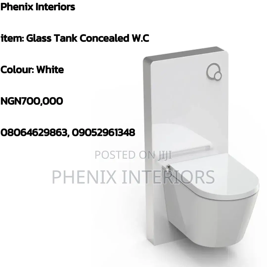 Glass Tank Wall Hung Water Closet