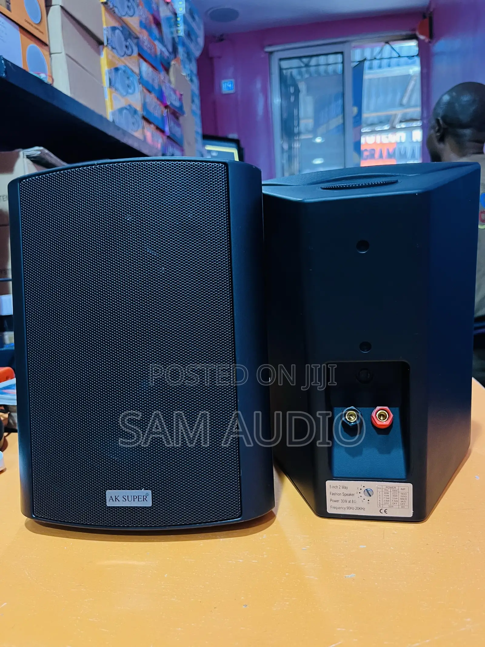 Outdoor Speaker