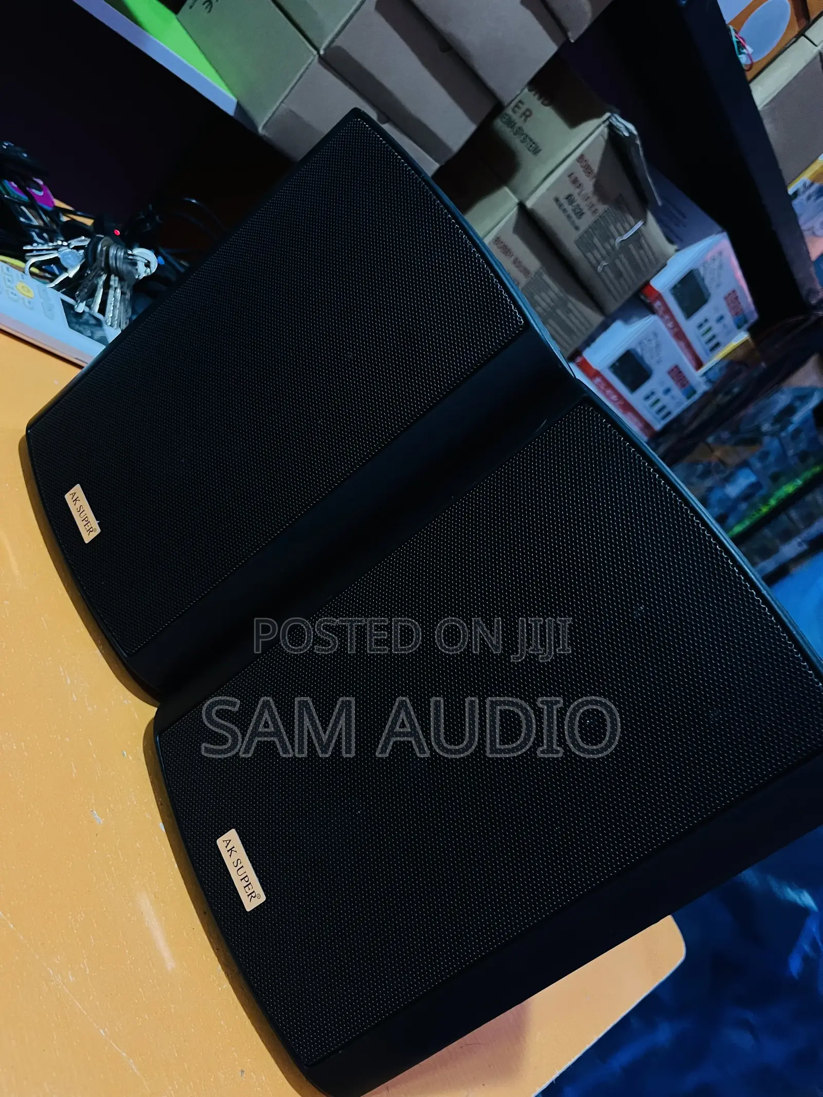 Outdoor Speaker