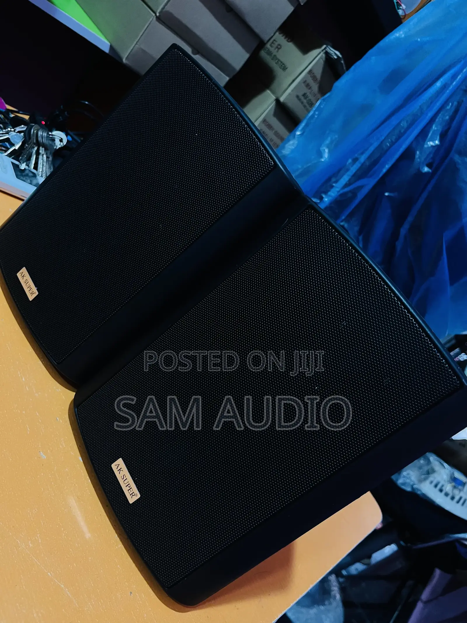 Outdoor Speaker