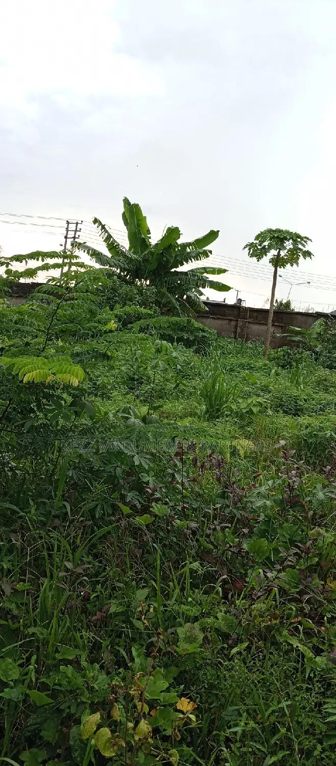 For Sale : 1 Plot of Land at Cedarwood Estate, Sars Rd , Ph
