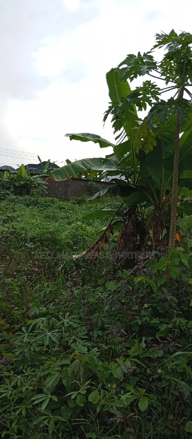For Sale : 1 Plot of Land at Cedarwood Estate, Sars Rd , Ph