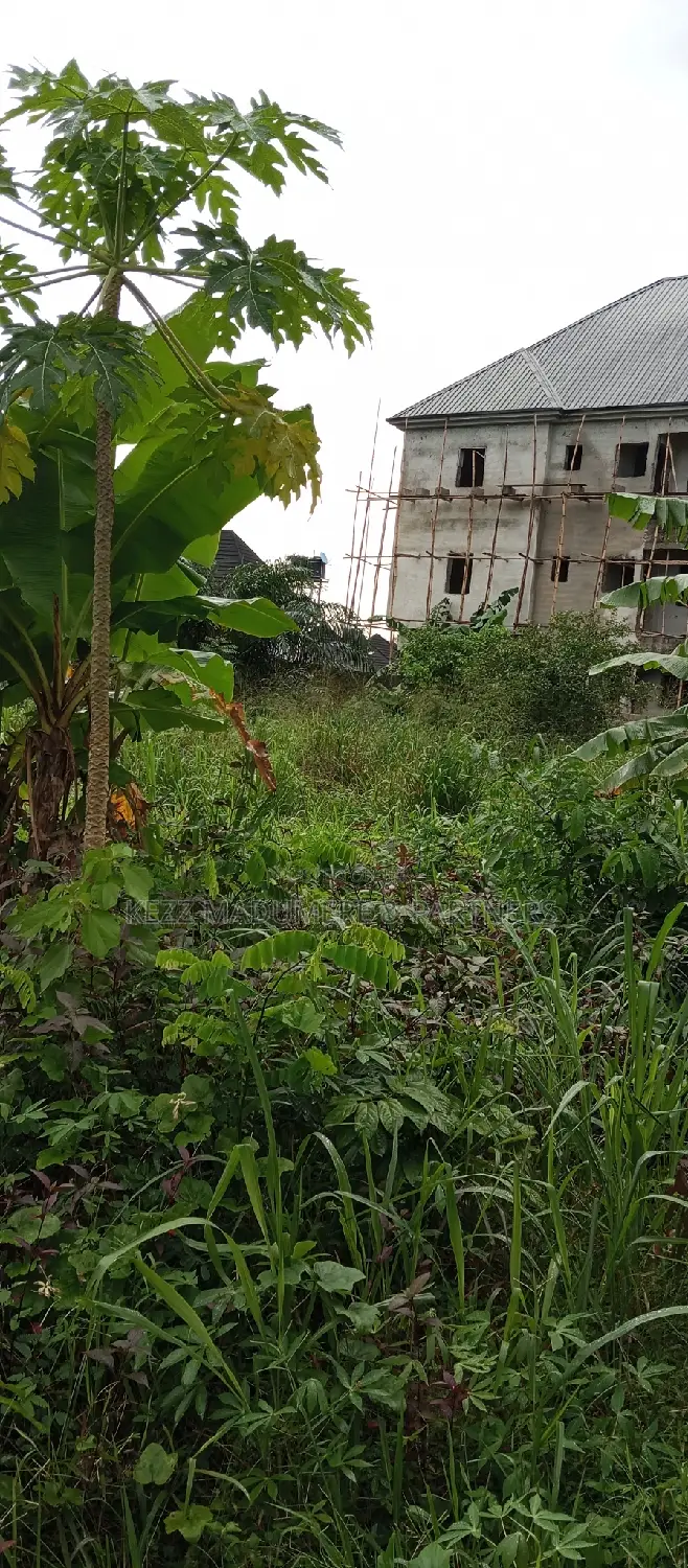 For Sale : 1 Plot of Land at Cedarwood Estate, Sars Rd , Ph