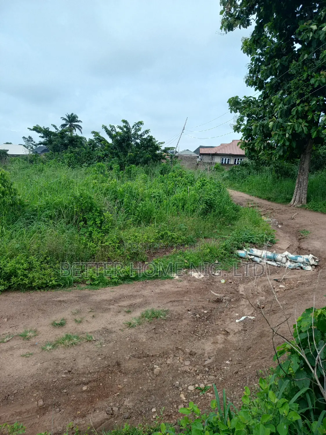 Plot of Land