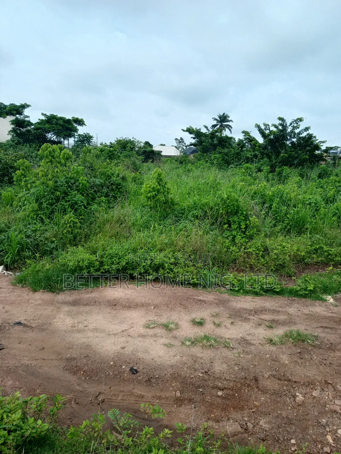 Plot of Land