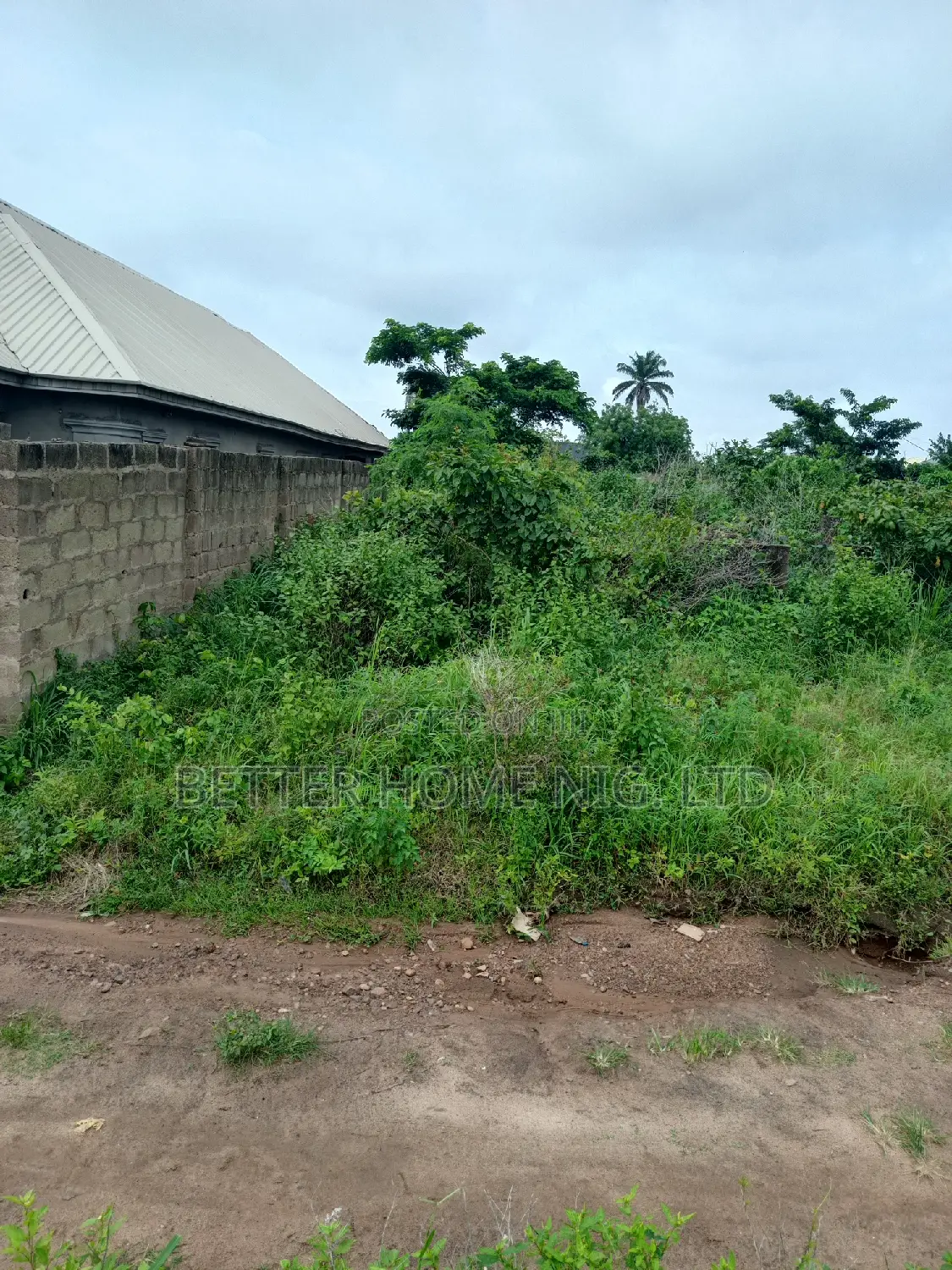 Plot of Land