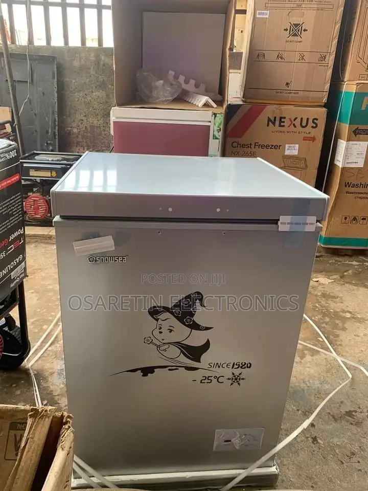 Snowsea Horizontal Freezer