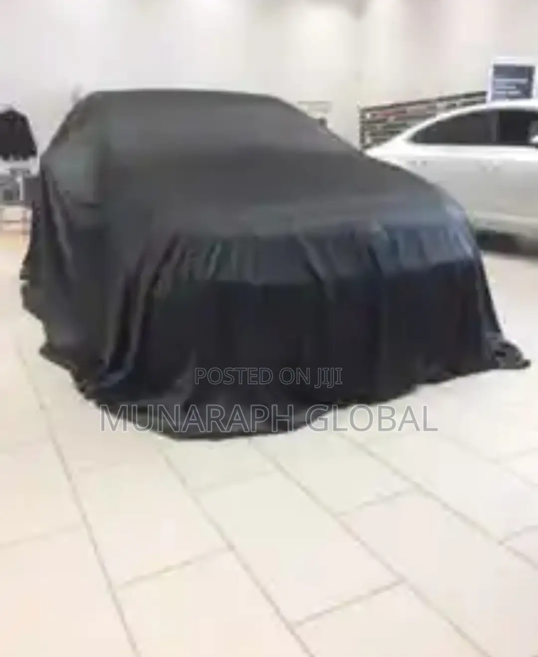 Jeep and Car Cover.