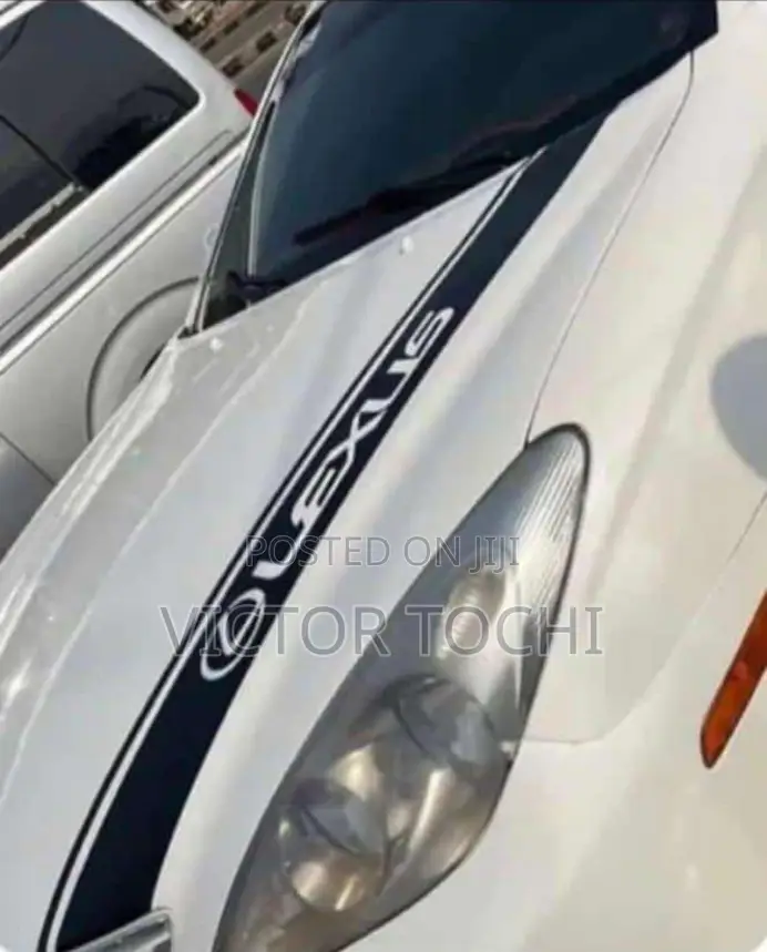 Bonnet Brand Sticker