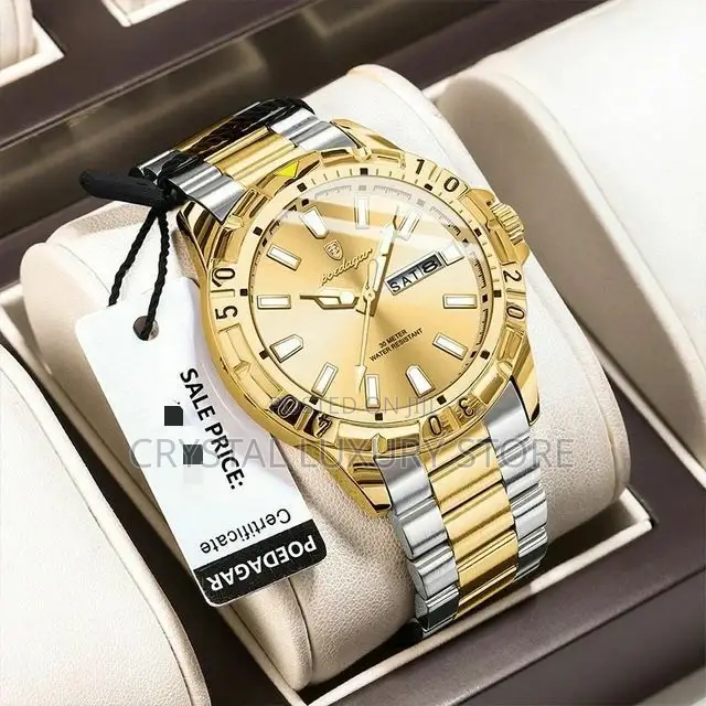 Poedagar Top Quality Luxury Wristwatch