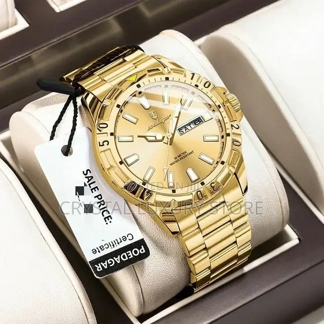 Poedagar Top Quality Luxury Wristwatch