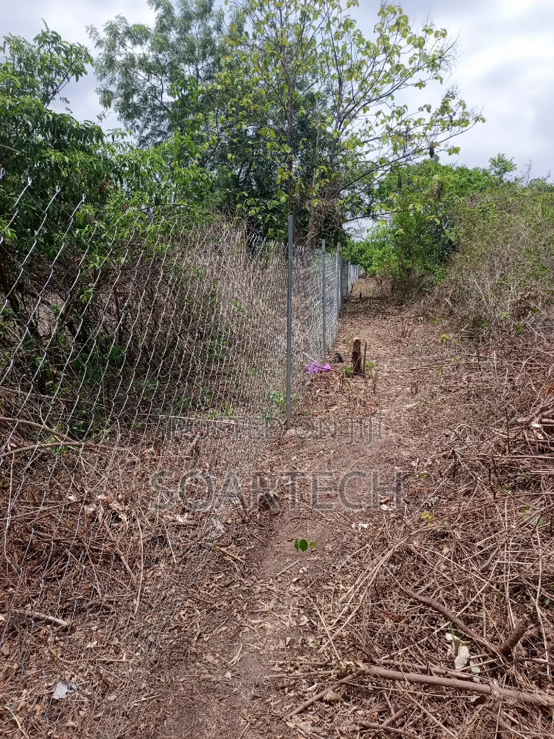 Chain Link Fencing