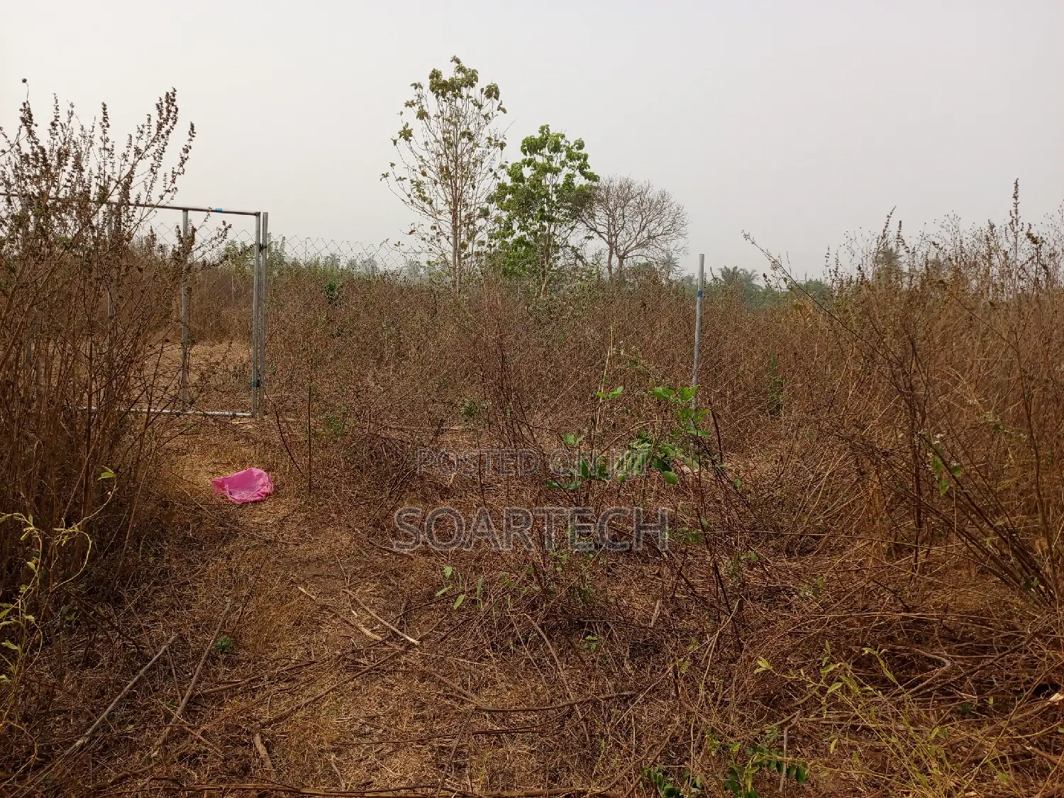 Chain Link Fencing
